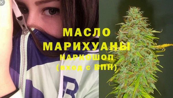 индика Абинск