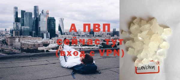 соль ск Пестово