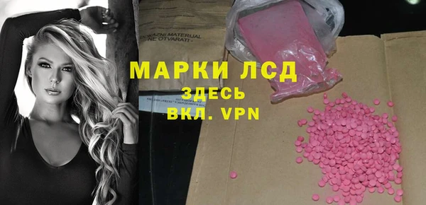индика Абинск