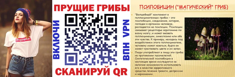 Галлюциногенные грибы GOLDEN TEACHER  Бавлы 